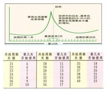 七大助孕技術之四聯(lián)排卵監(jiān)測法